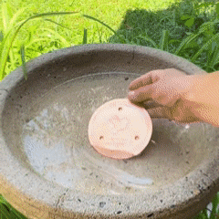 š„ 99.99% Pure Copper Bird Bath Disk