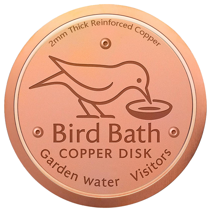 🥇 99.99% Pure Copper Bird Bath Disk