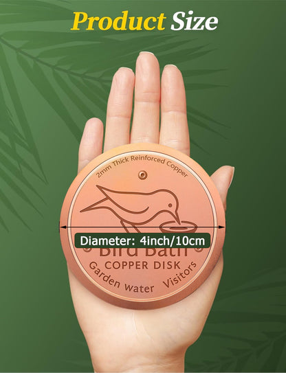 🥇 99.99% Pure Copper Bird Bath Disk