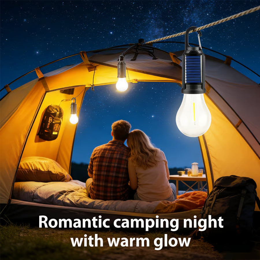 🌞 Free Light Forever: $0 Electricity, 100% Solar-Powered.