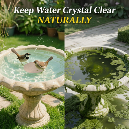 🥇 99.99% Pure Copper Bird Bath Disk